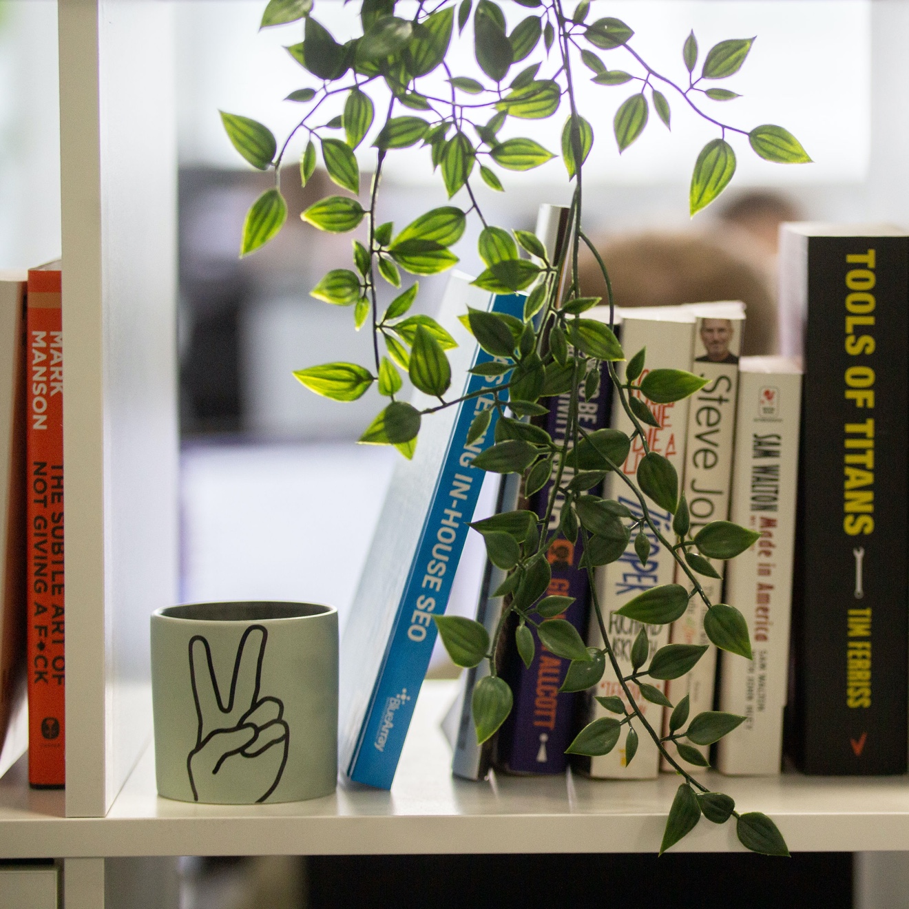 Plant on bookcase