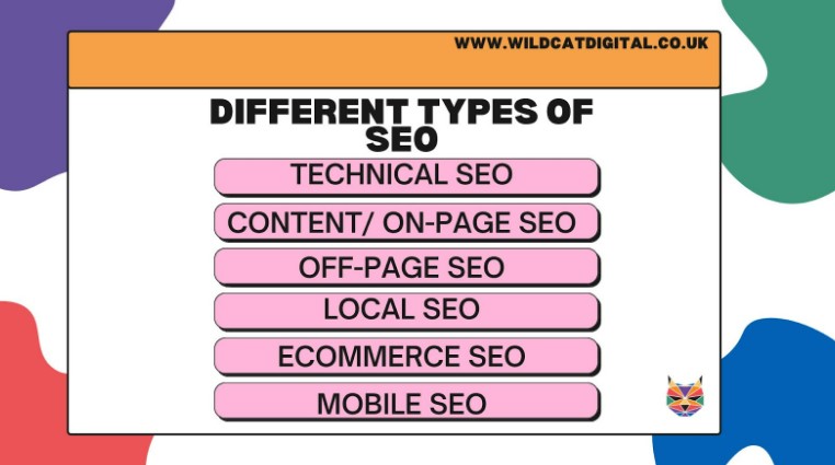 different types of seo infographic