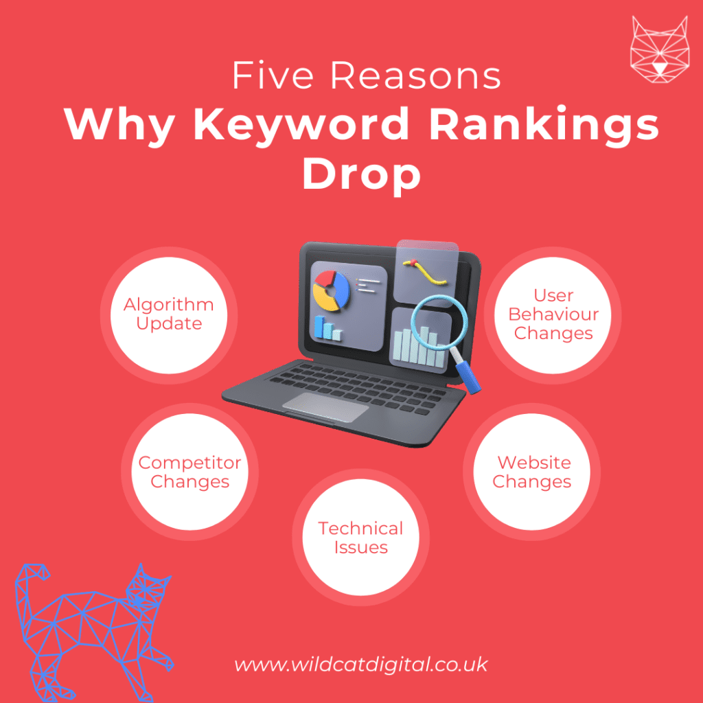 Why do keyword rankings drop? Wildcat Digital helps you to diagnose a drop in keyword rankings.